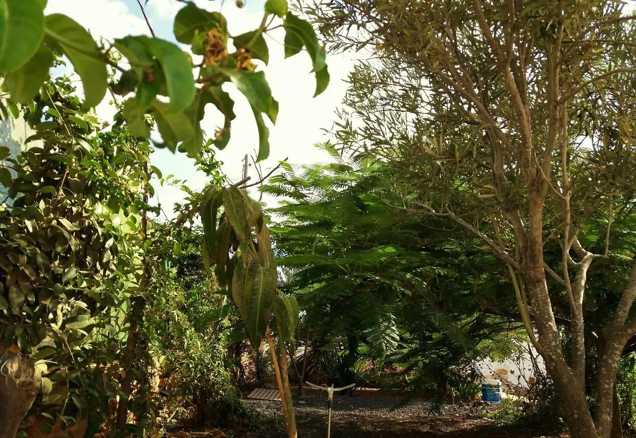 Casita rural Molino de La Corte Antigua  Casa di campagna Antigua (Fuerteventura)